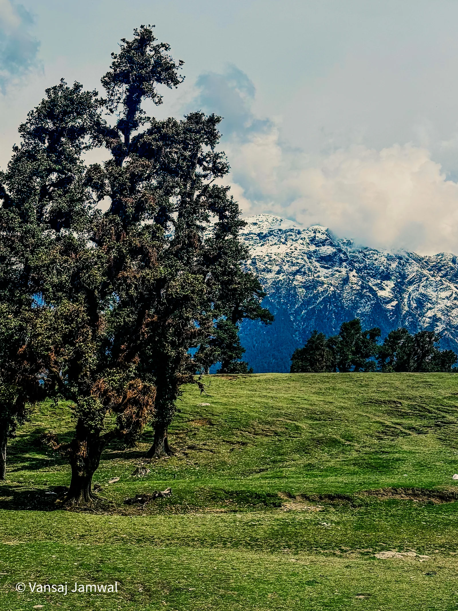 Kasol & Kheerganga: A meadow under the snowline