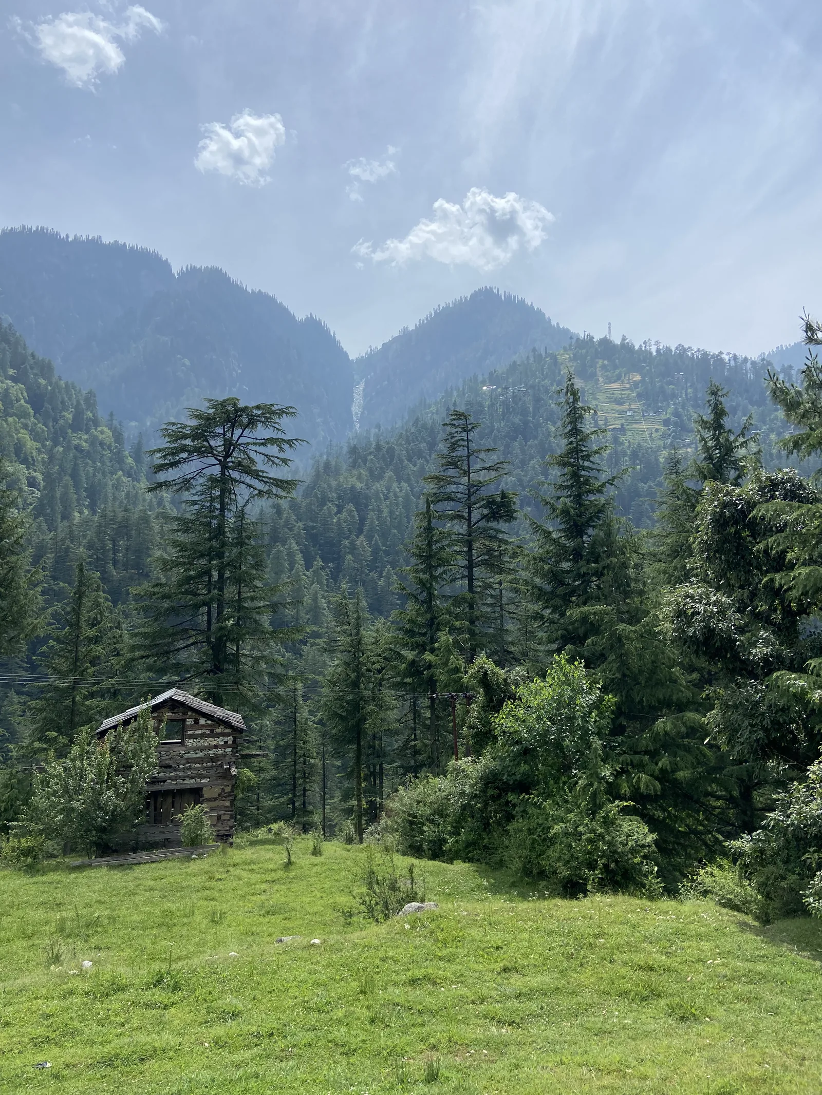 Kasol & Kheerganga: A wooden house below the pines